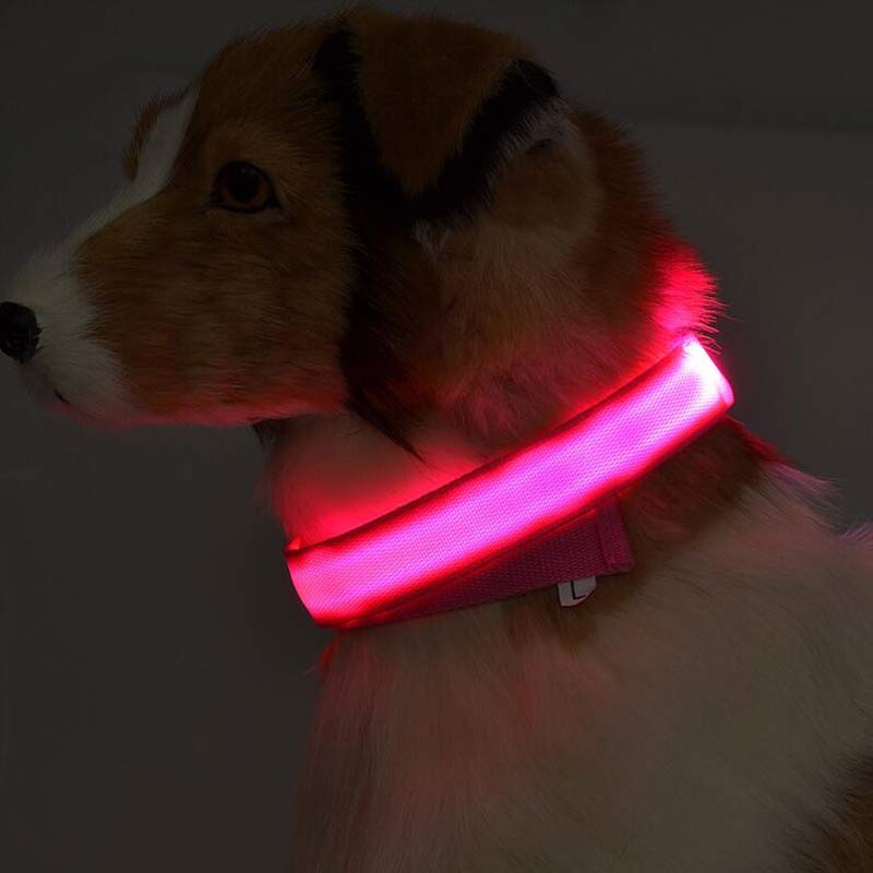 LED Pet Dog Luminous Collar Night Safety Flashing Glow IN DARK