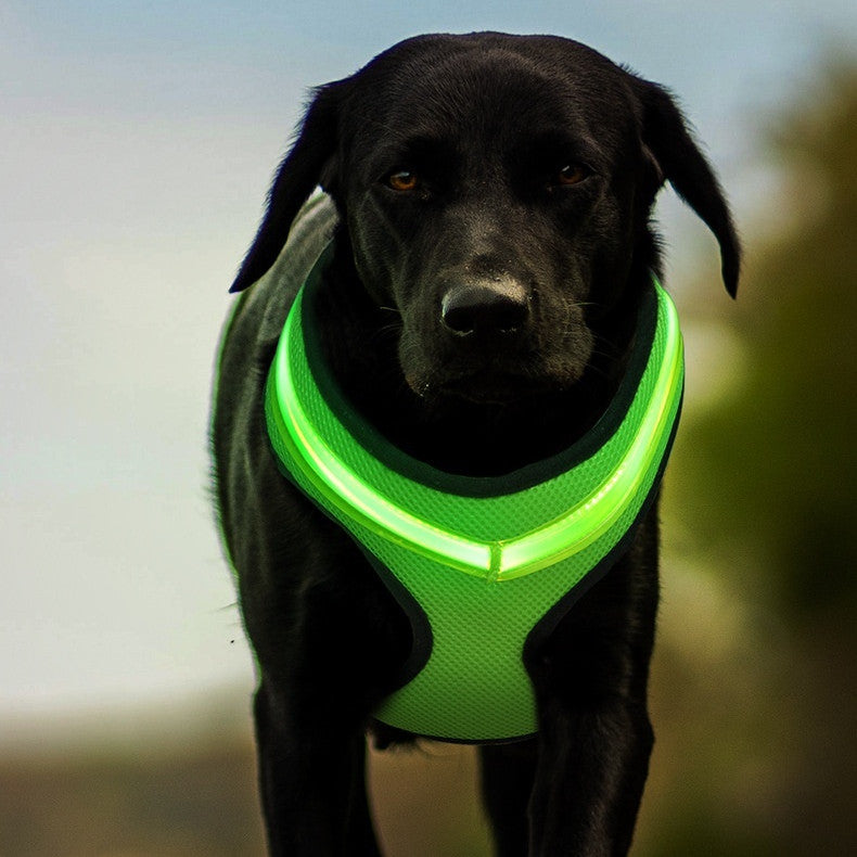 Pet Supplies LED Luminous Dog Chest Strap Rechargeable Mesh Luminous Harness Pet Products