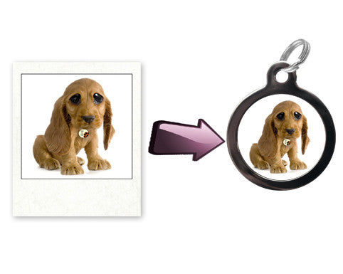 Your Own Design Pet ID Tag