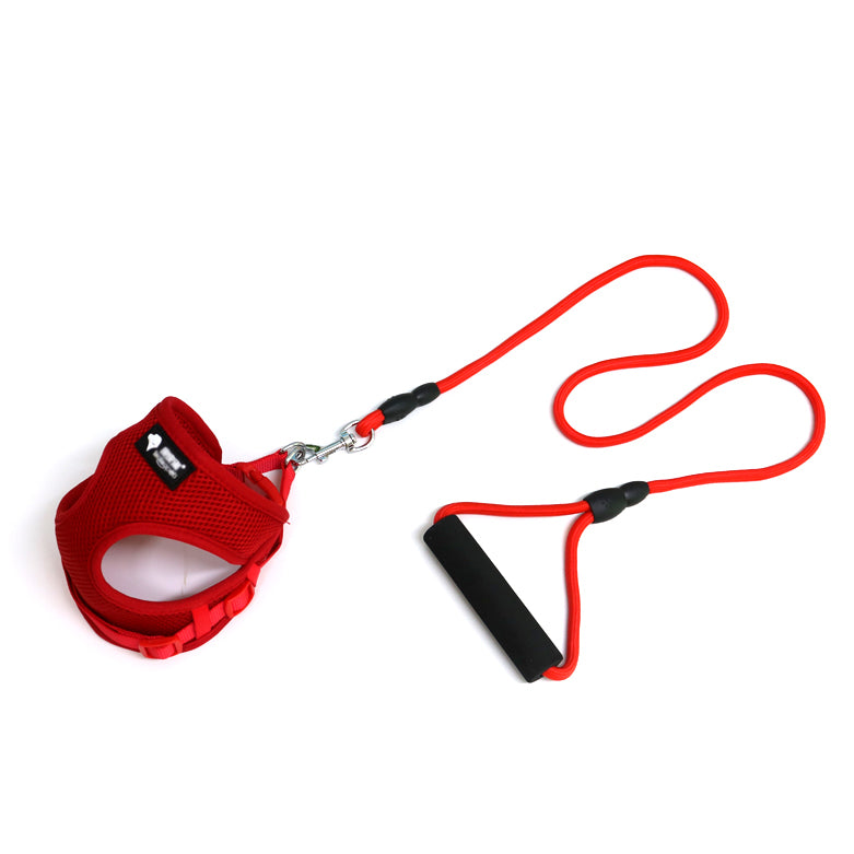 Dog leash