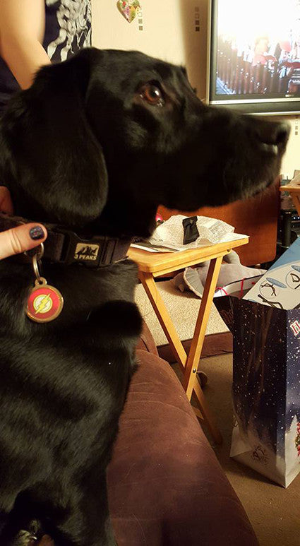 THE FLASH - SUPERHERO THEMED PET ID TAGS