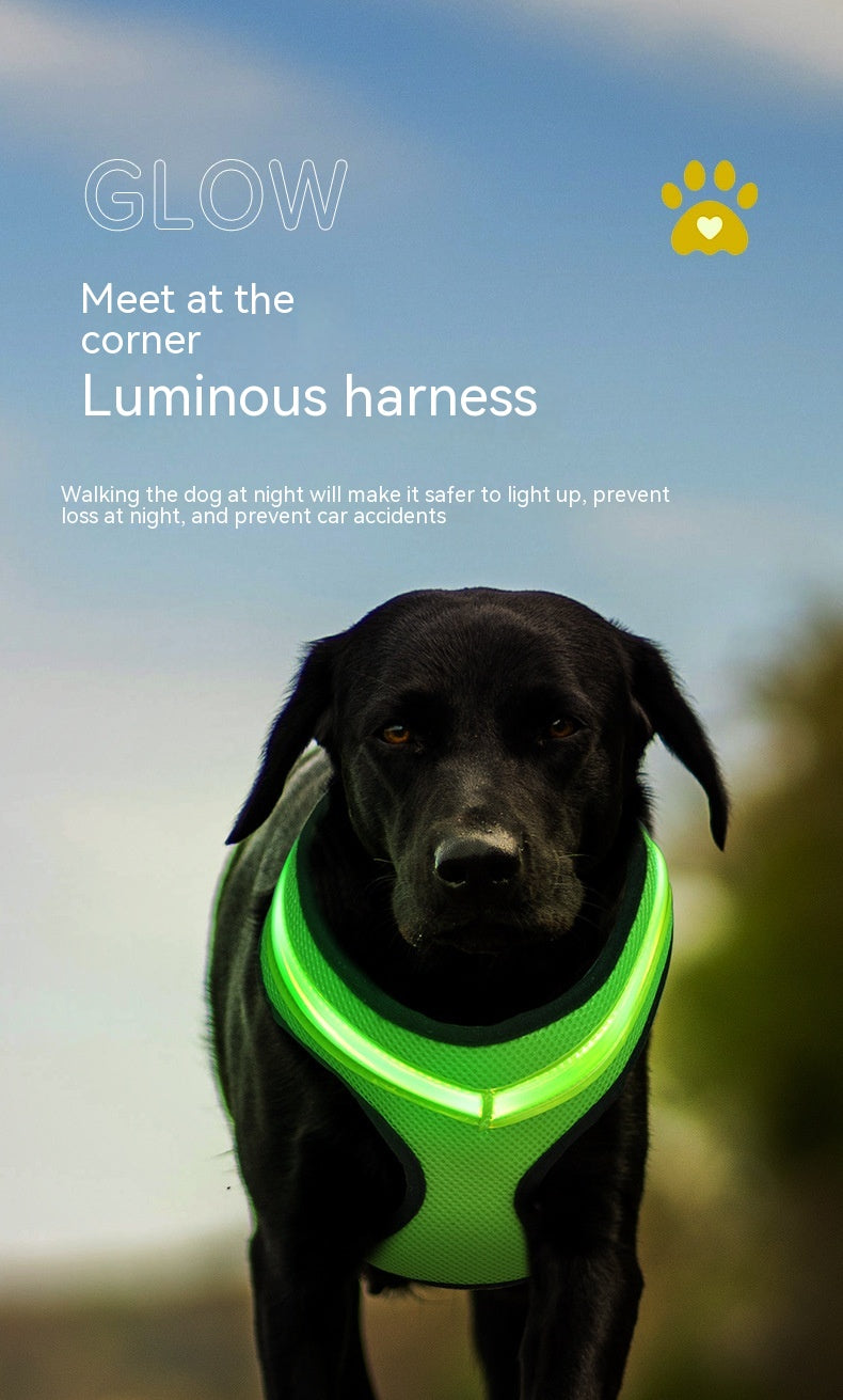 Pet Supplies LED Luminous Dog Chest Strap Rechargeable Mesh Luminous Harness Pet Products